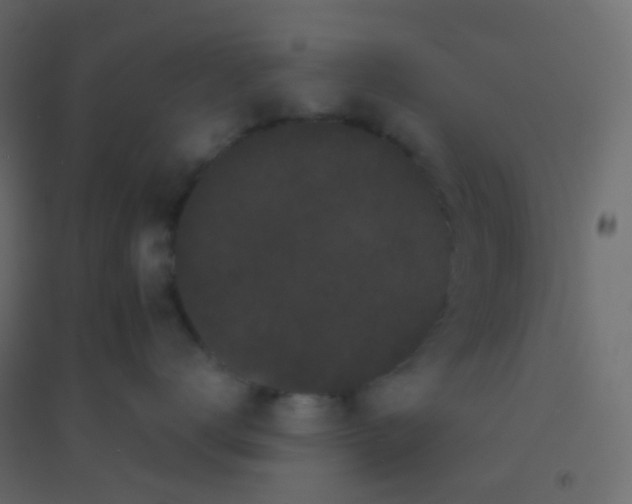 X0000094920672200712131516