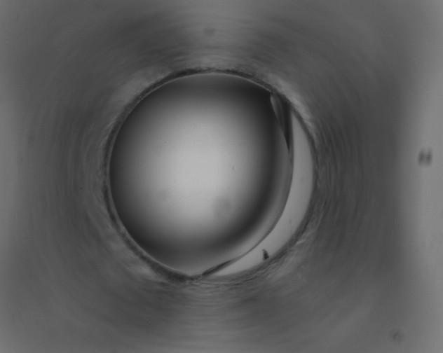 X0000094920673200712131515