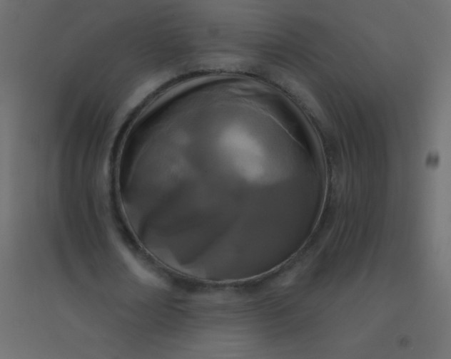 X0000094920674200712131515