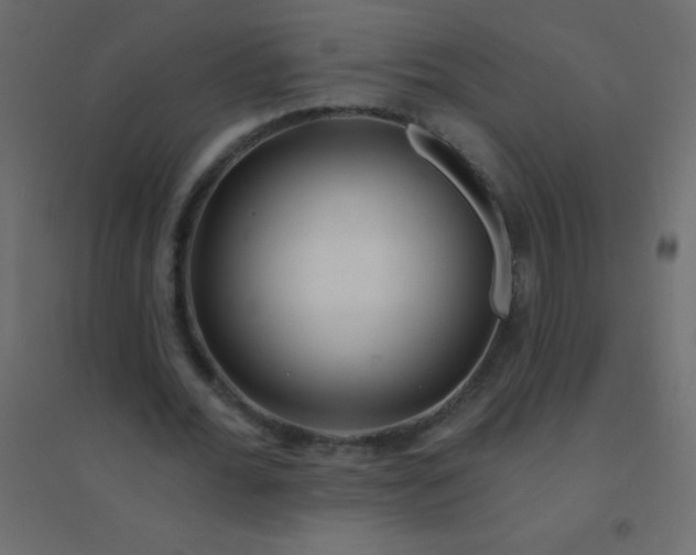 X0000094920676200712131515