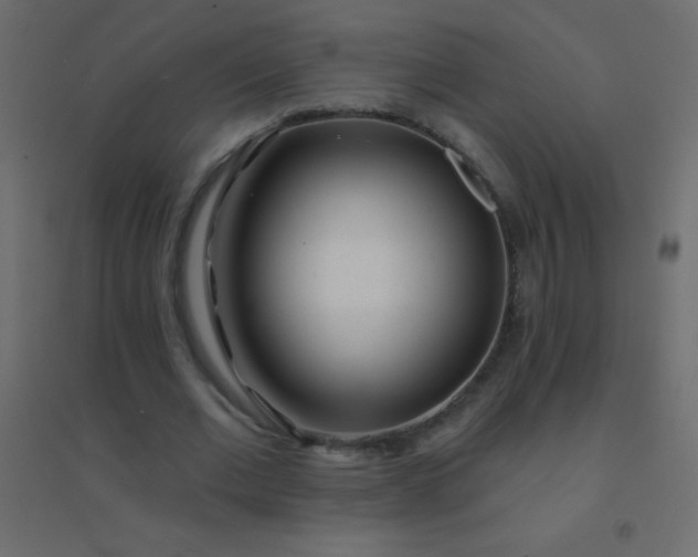 X0000094920677200712131515