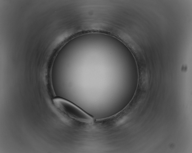 X0000094920680200712131515