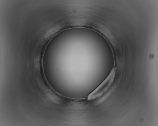 X0000094920681200712131515