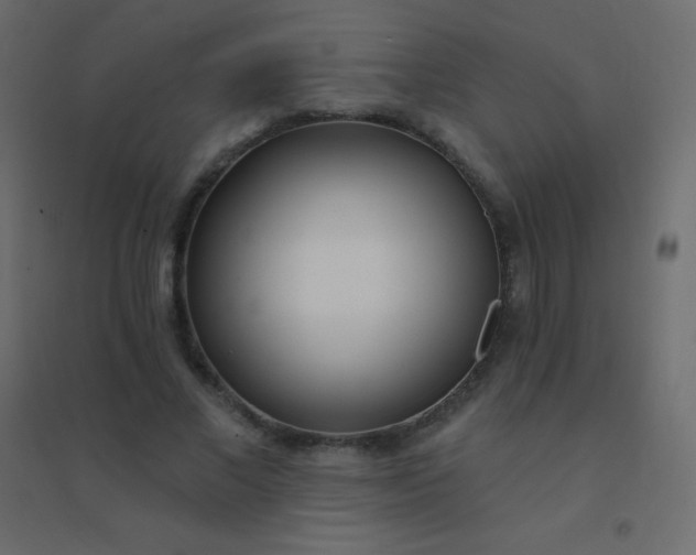 X0000094920685200712131515