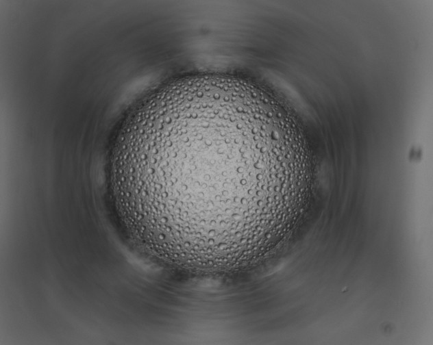 X0000094920687200712131515