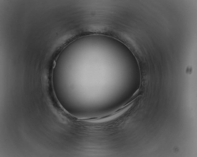 X0000094920688200712131515