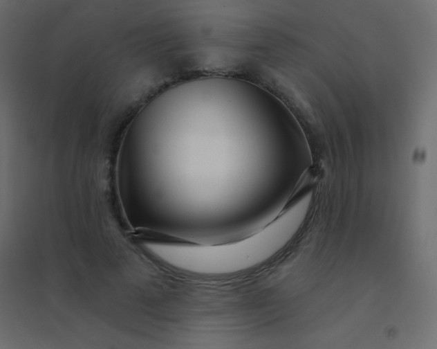 X0000094920689200712131515