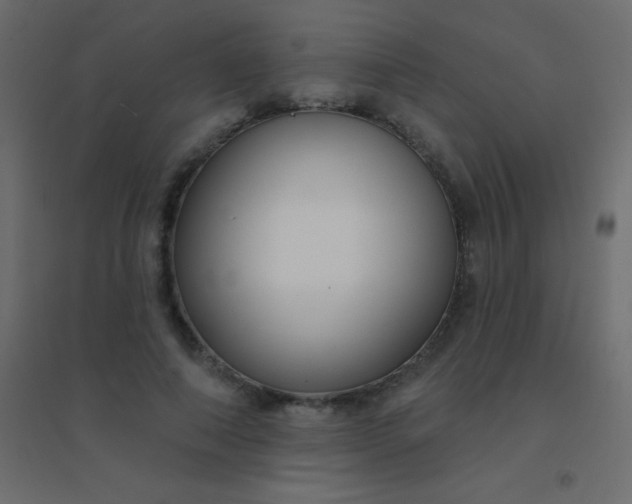 X0000094920690200712131515