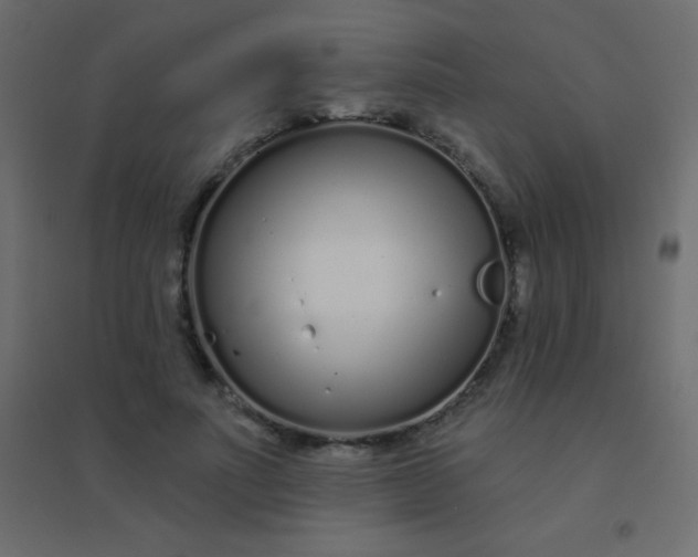 X0000094920691200712131515