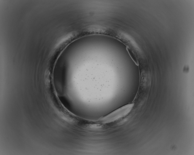 X0000094920692200712131515