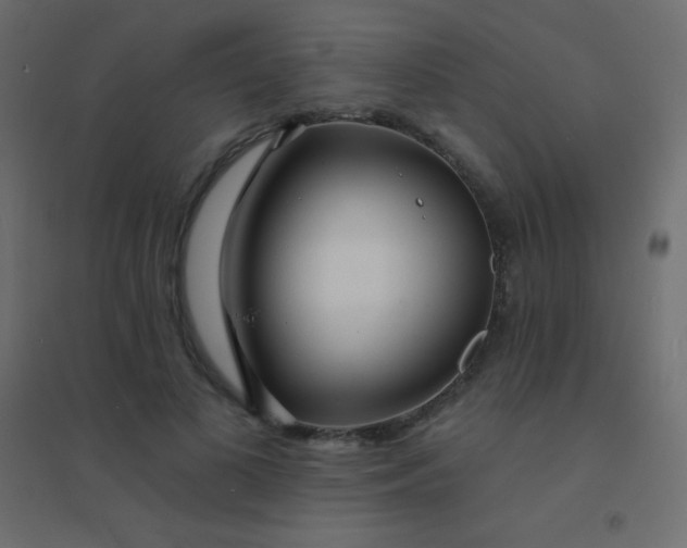 X0000094920693200712131515