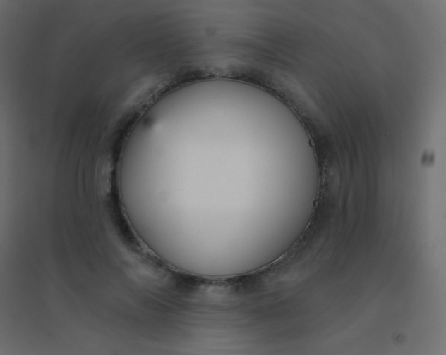 X0000094920694200712131515