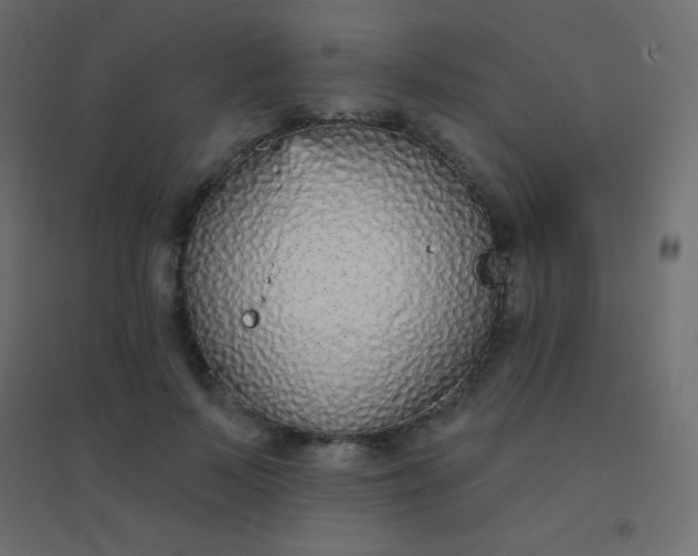 X0000094920695200712131515