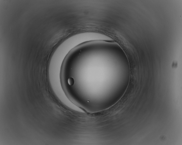 X0000094920696200712131515