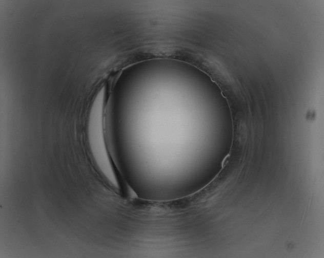 X0000094920697200712131515