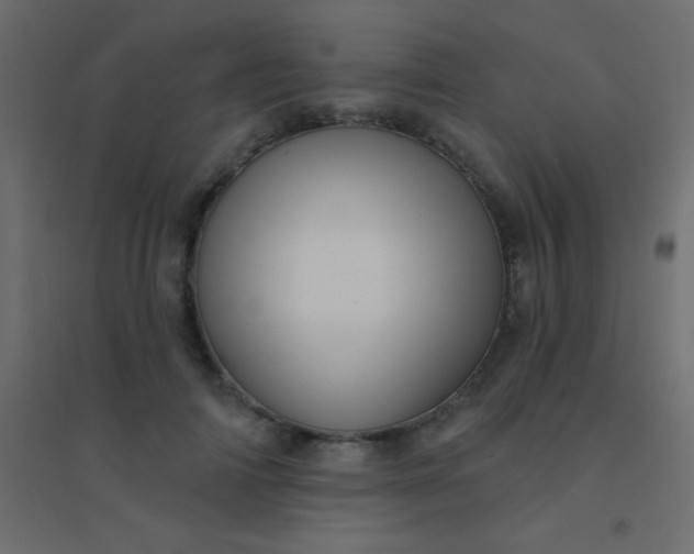 X0000094920698200712131515