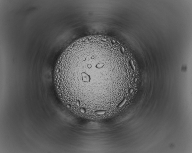 X0000094920699200712131515