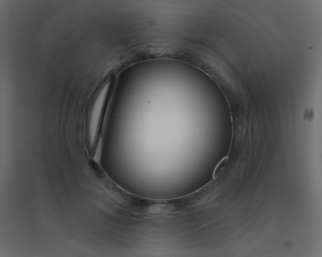 X0000094920700200712131515