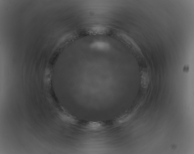 X0000094920701200712131515