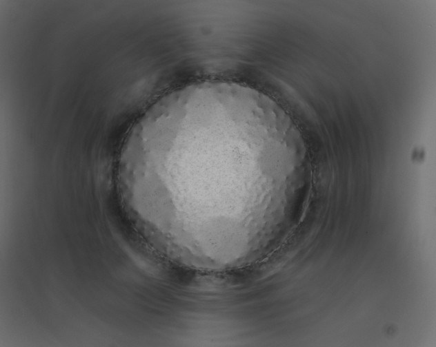 X0000094920703200712131515