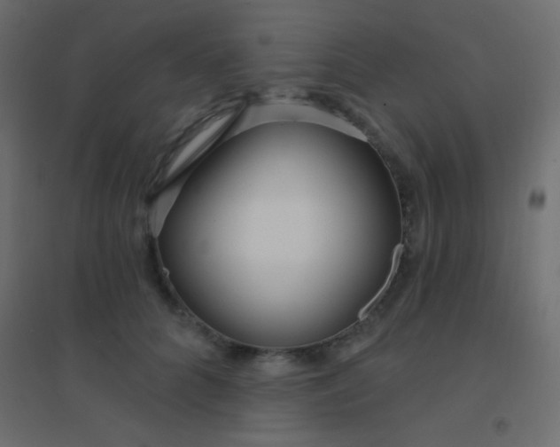 X0000094920704200712131515