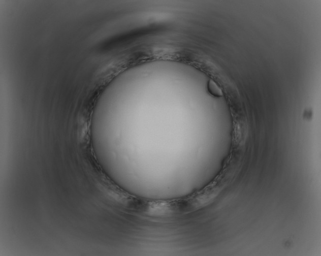 X0000094920705200712131515