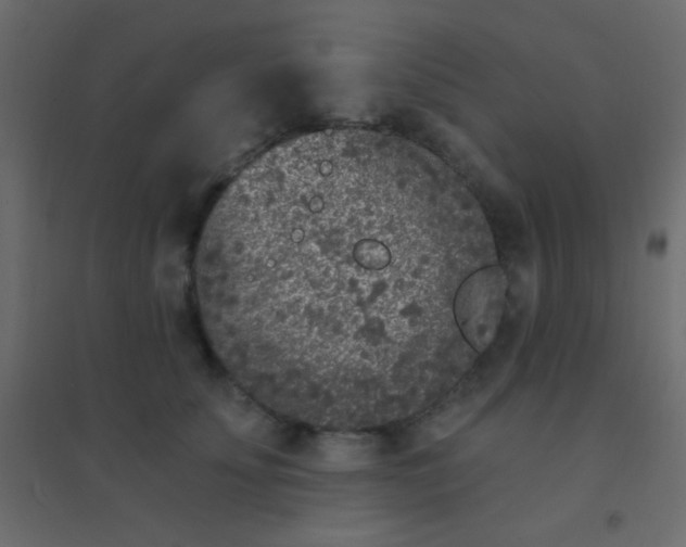 X0000094920707200712131515