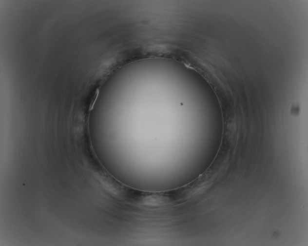 X0000094920708200712131515