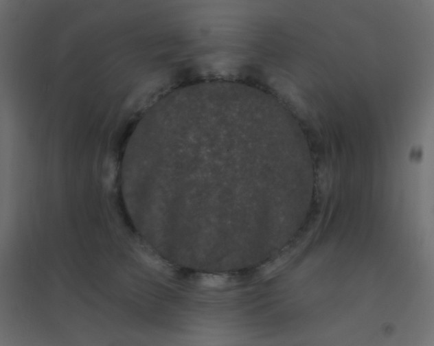 X0000094920709200712131515