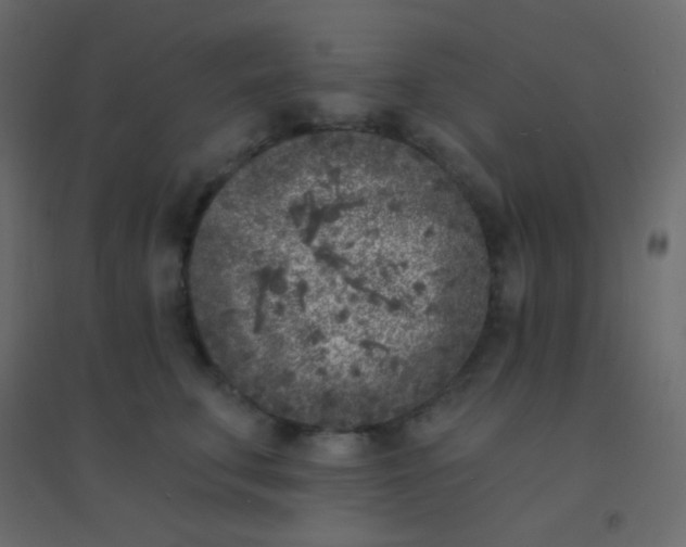 X0000094920711200712131515