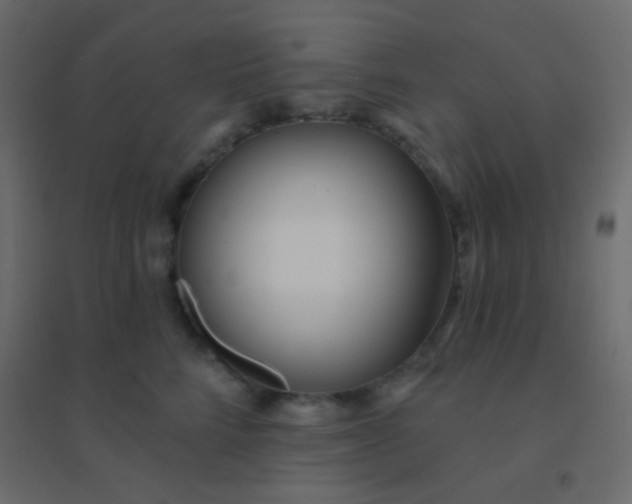 X0000094920712200712131515