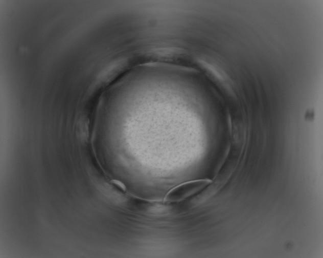 X0000094920718200712131514