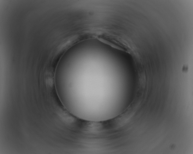 X0000094920719200712131514