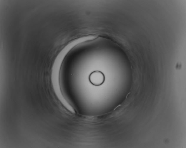 X0000094920720200712131514