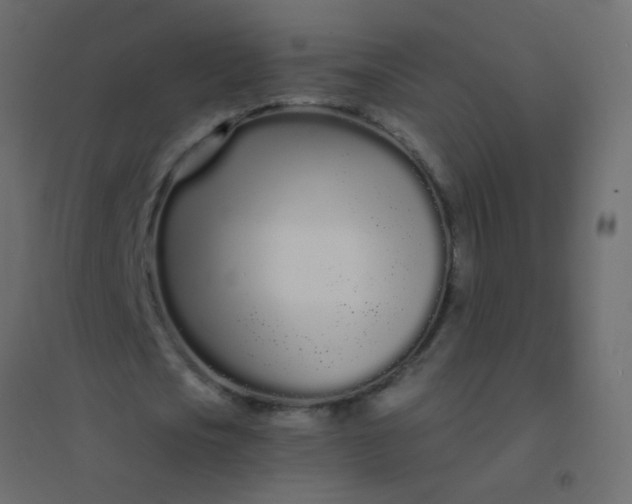 X0000094920721200712131514