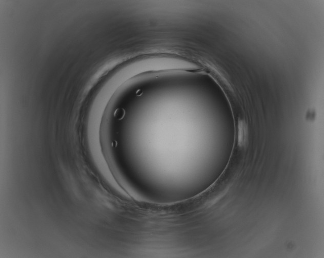 X0000094920723200712131514