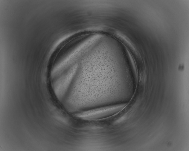 X0000094920724200712131514