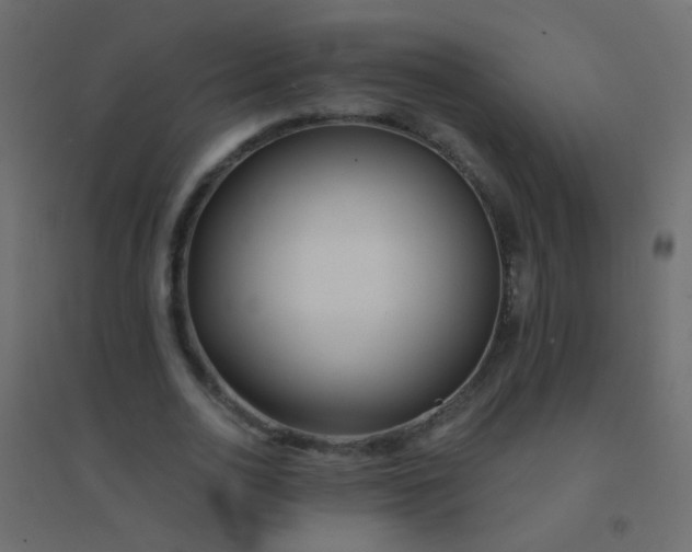 X0000094920726200712131514