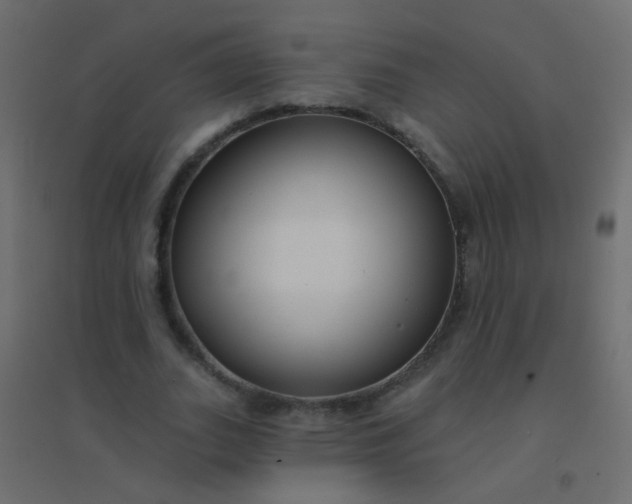 X0000094920727200712131514