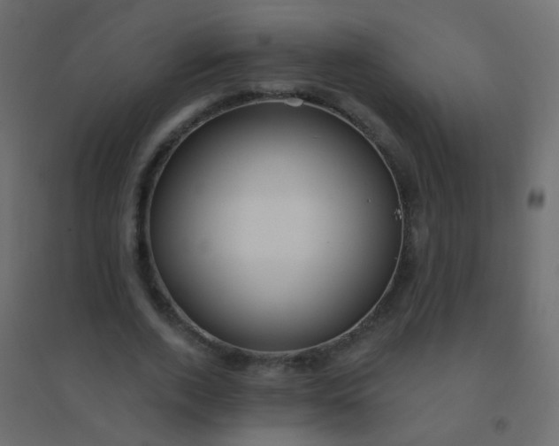 X0000094920728200712131514