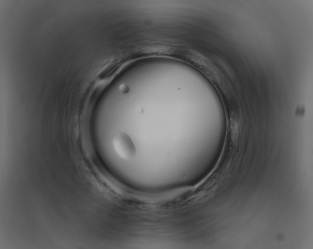 X0000094920729200712131514