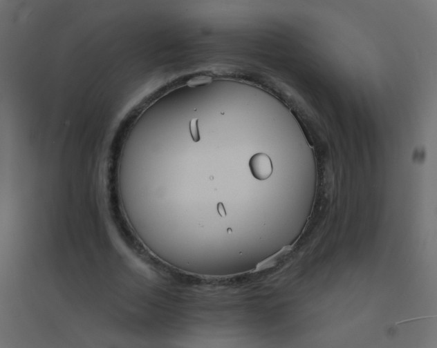 X0000094920730200712131514