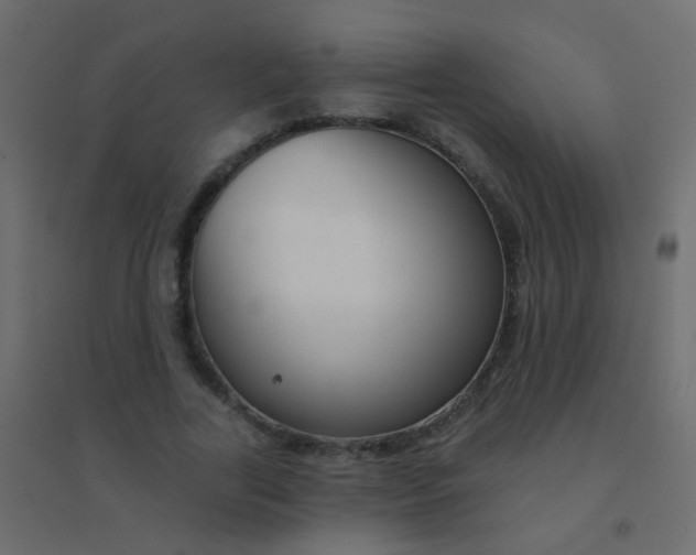 X0000094920731200712131514