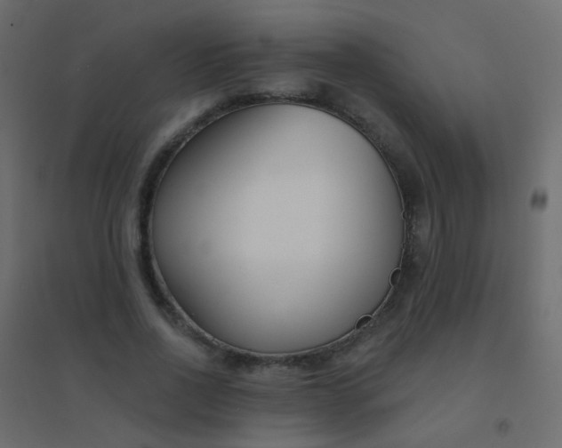 X0000094920734200712131514