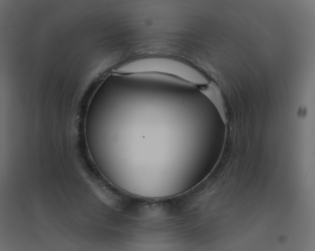 X0000094920735200712131514