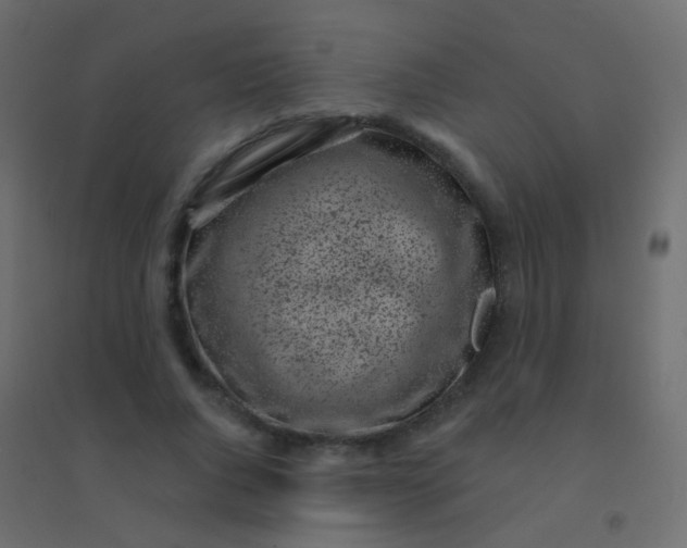 X0000094920736200712131514