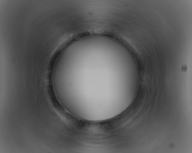 X0000094920738200712131514