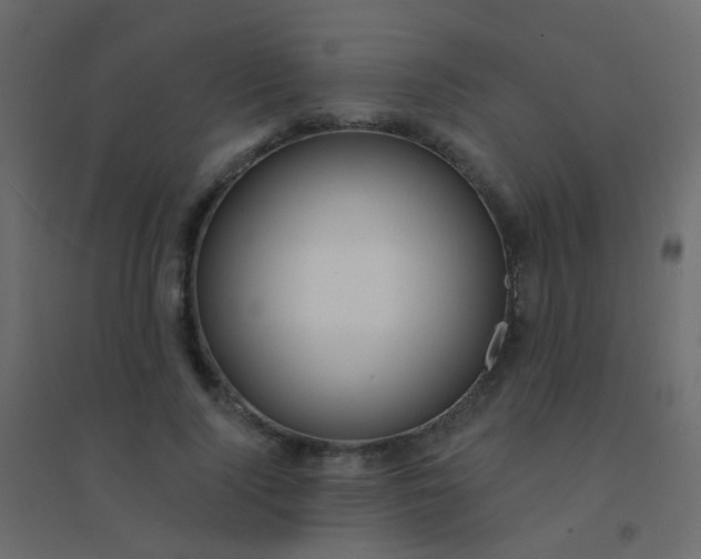 X0000094920740200712131514