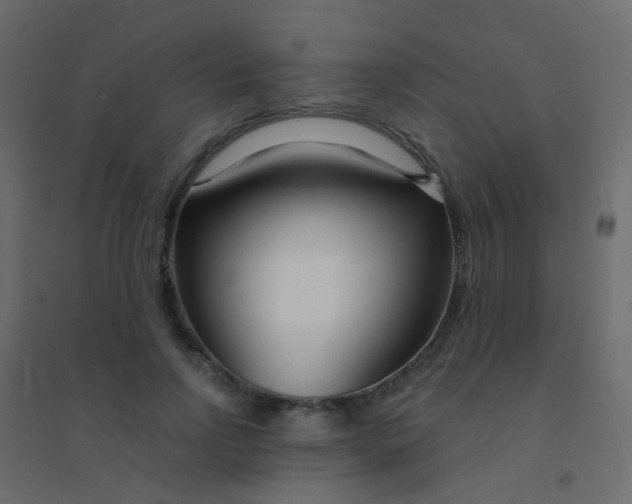 X0000094920742200712131514