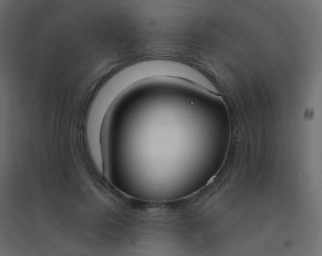 X0000094920744200712131514